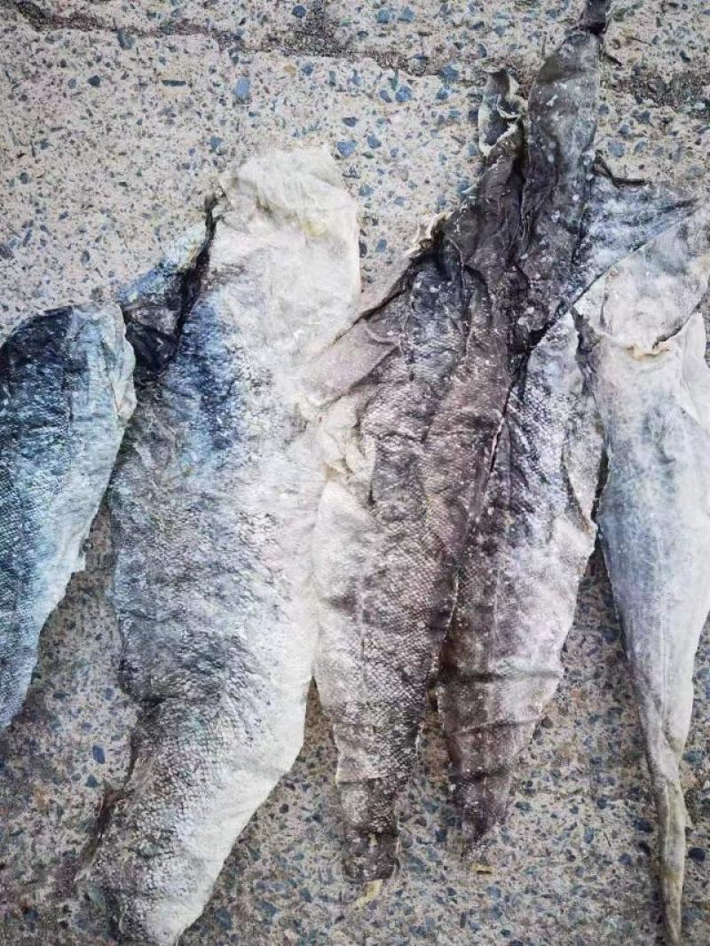 干鳕鱼皮自然晾晒物优价廉品质保证常年供应