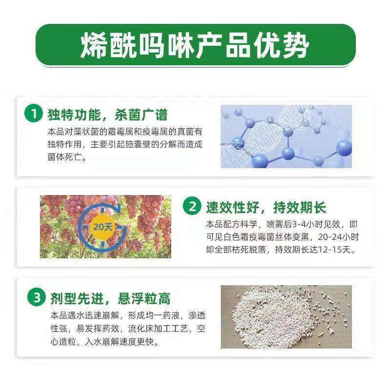 酷品80%烯酰吗啉辣椒黄瓜葡萄霜霉病早晚疫病农药杀菌尊冠