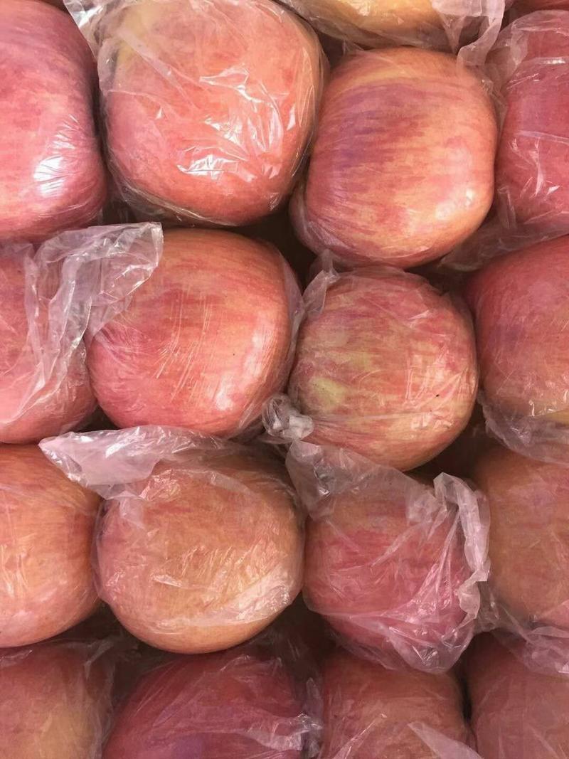 山东红富士苹果，一手货源，口感脆甜，皮薄肉黄，全国发货，