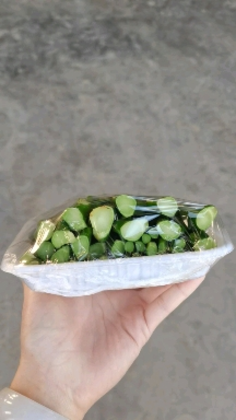 云南红油四季香椿/货源稳定充足/一件代发/批发