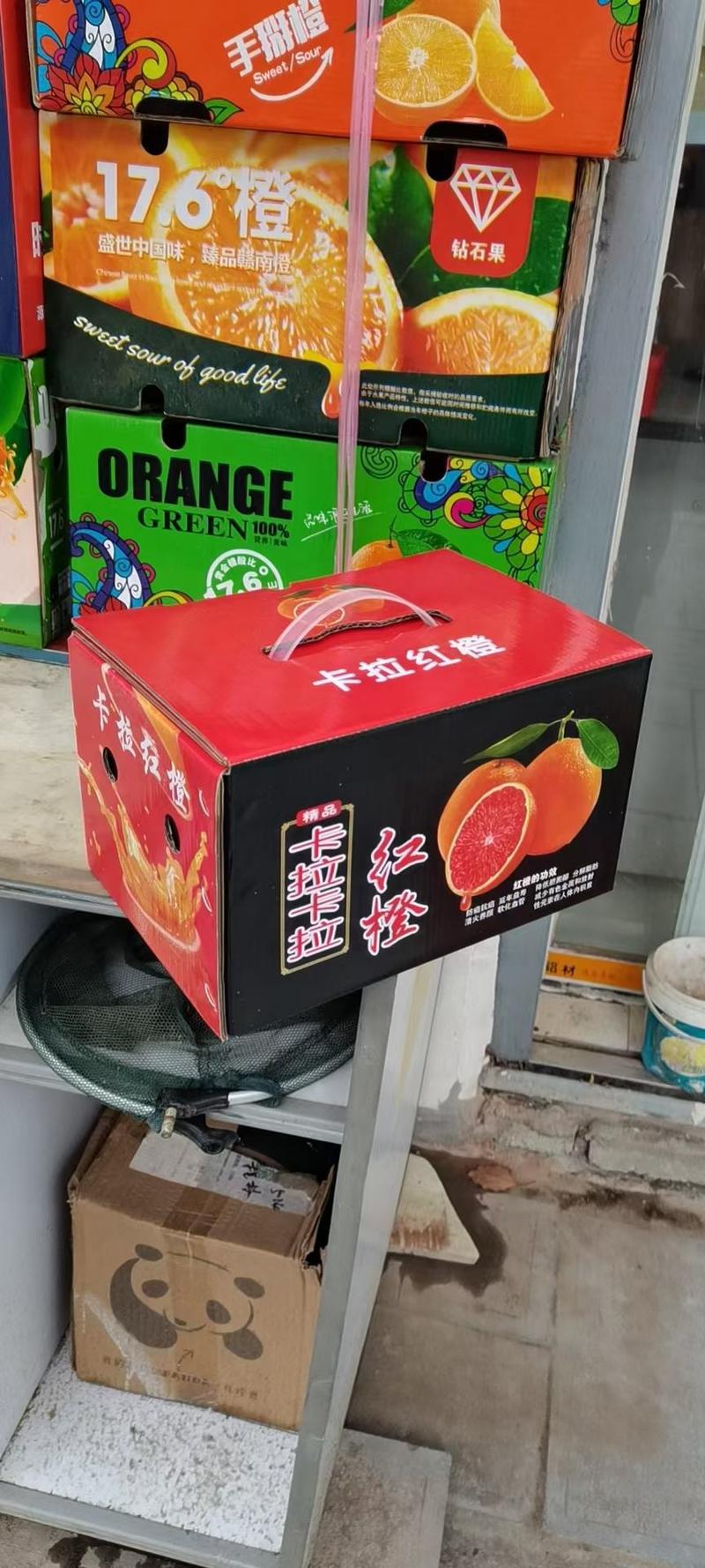 【实力】中华红血橙红肉脐橙产地一手货源对接商超批发市场