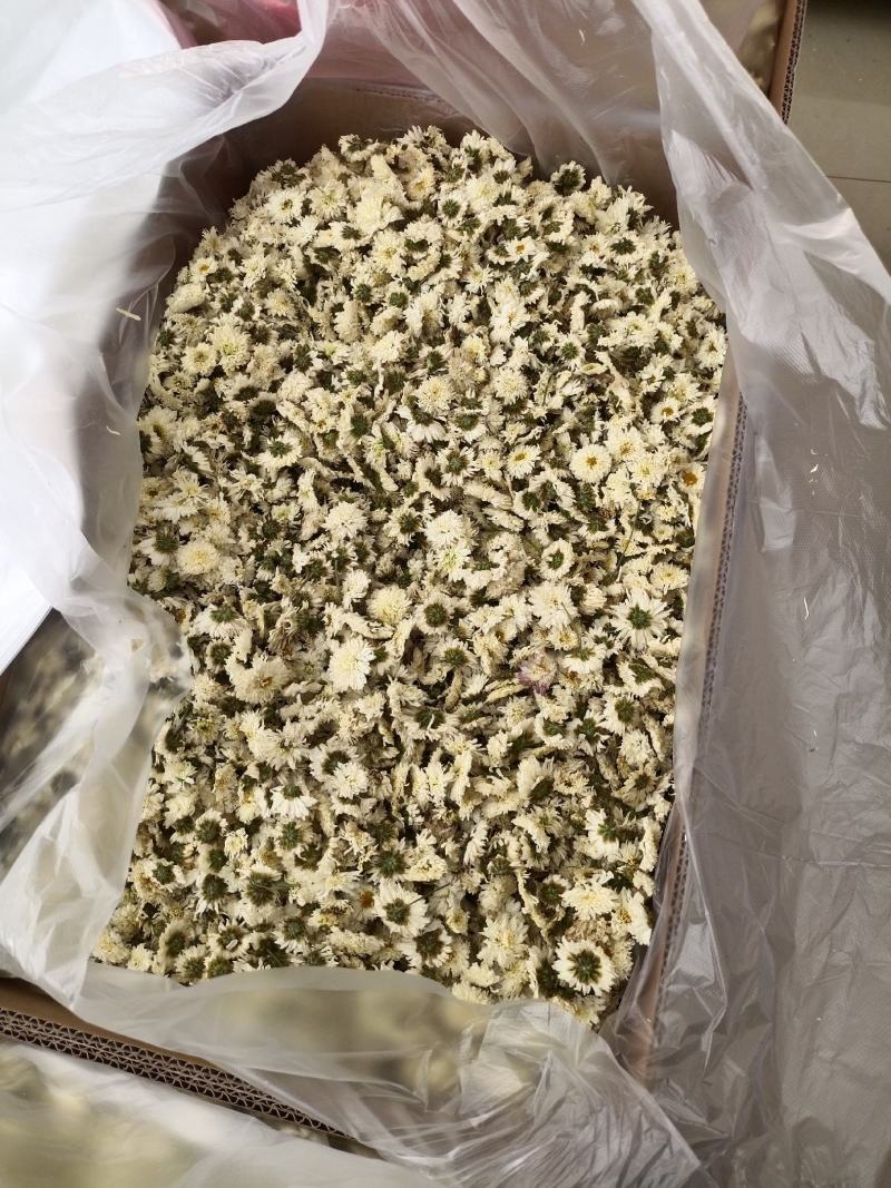 七月菊，菊花茶，各种规格七月菊欢迎致电联系