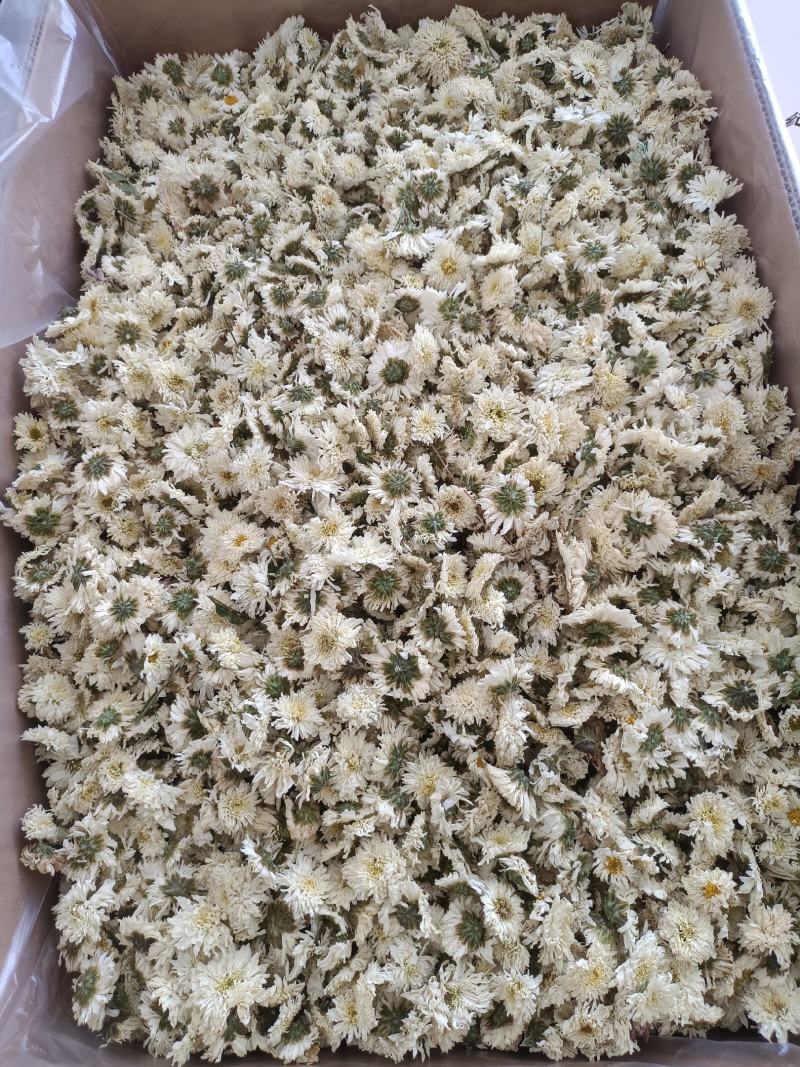 七月菊，菊花茶，各种规格七月菊欢迎致电联系