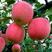 红富士苹果树苗70~80cm嫁接苗根系发达成活率高