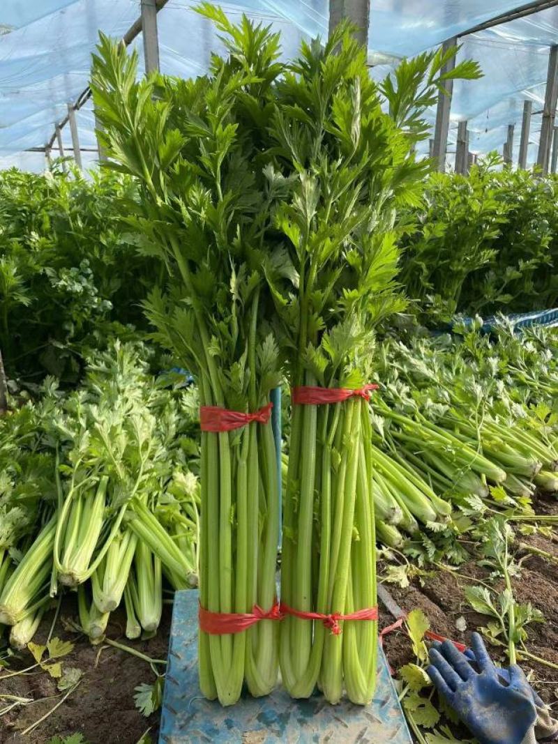 芹菜