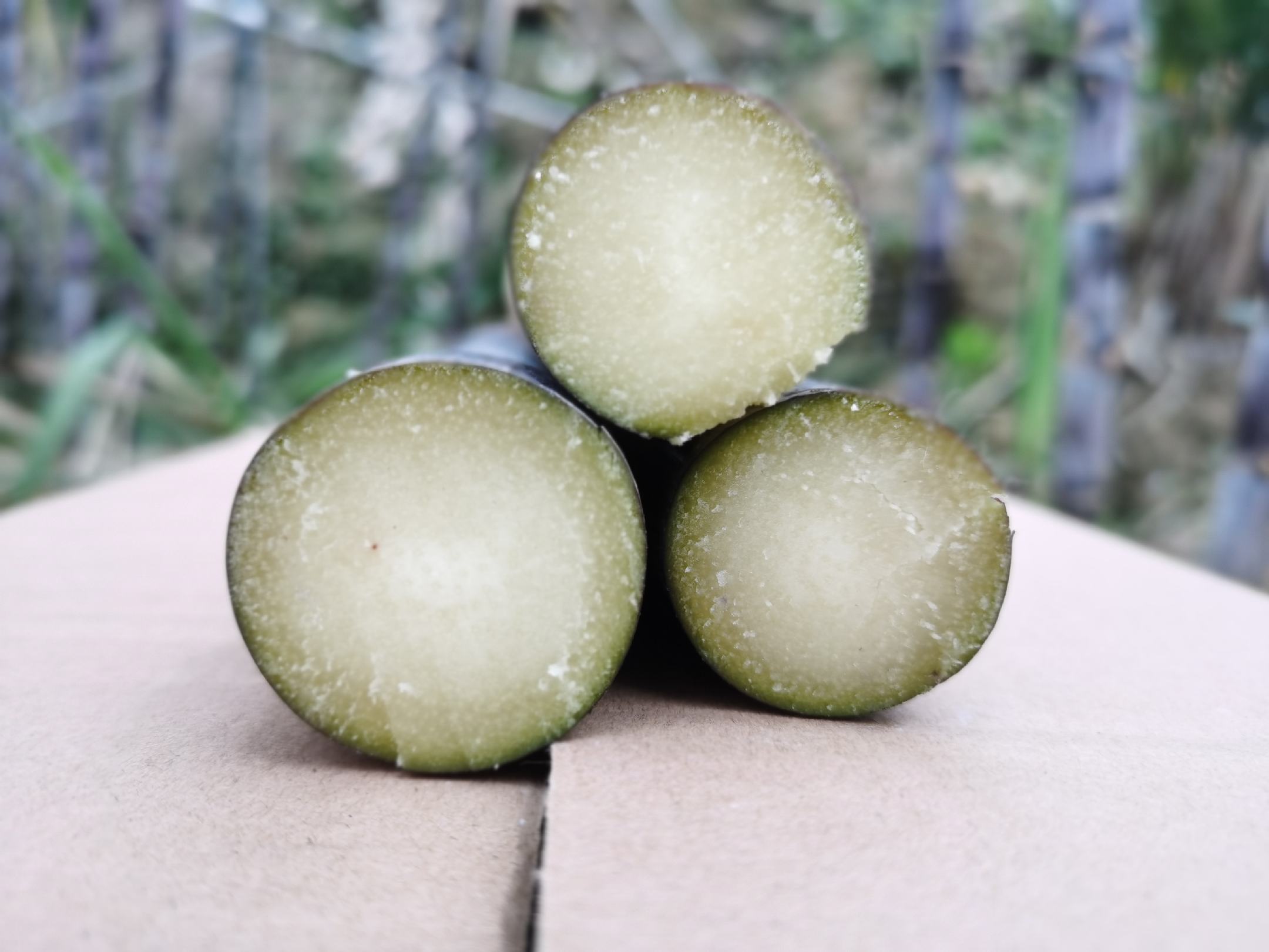 一根被斜切开的黑皮甘蔗,展示其洁白细腻的内部结构,汁水饱满,光线照射下晶莹剔透,旁边有一小杯榨出的甘蔗汁,呈现淡黄色透明状 切开的黑皮甘蔗特写