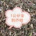 荆芥咀河北地产荆芥咀荆芥侧穗全荆芥都有需要的请联系我