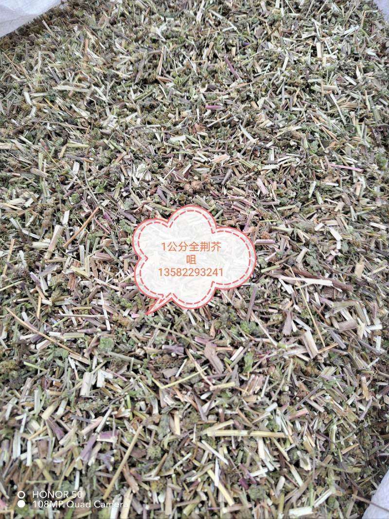 荆芥咀河北地产荆芥咀荆芥侧穗全荆芥都有需要的请联系我