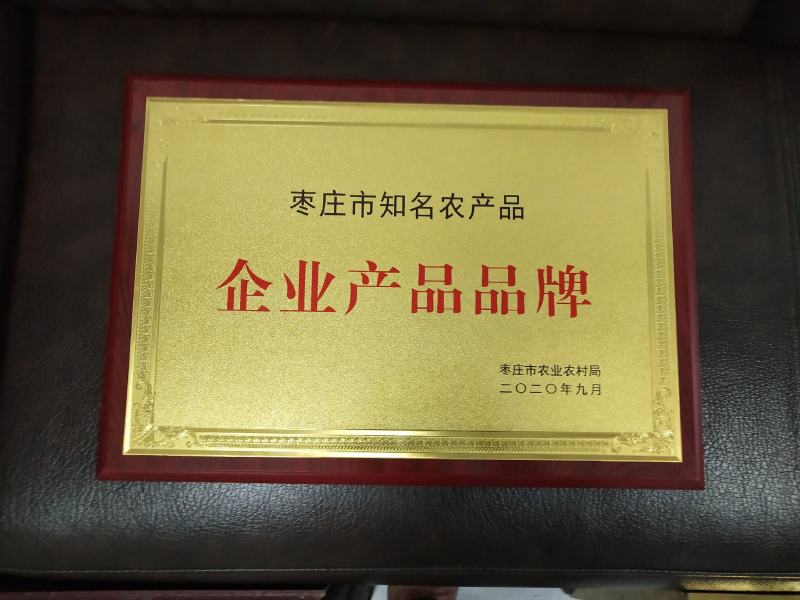 【热卖】食用菌平菇菌棒山东枣庄高产抗病到家划口既出