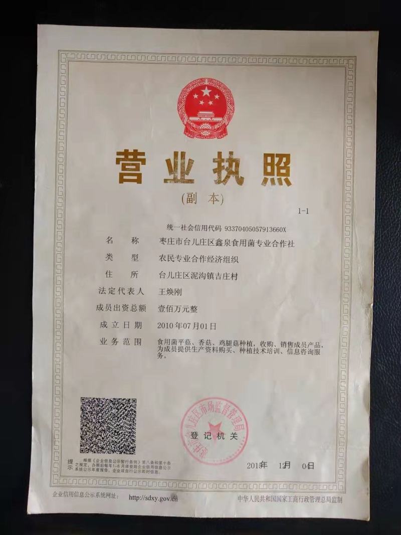 【热卖】食用菌平菇菌棒山东枣庄高产抗病到家划口既出