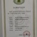 【热卖】食用菌平菇菌棒山东枣庄高产抗病到家划口既出