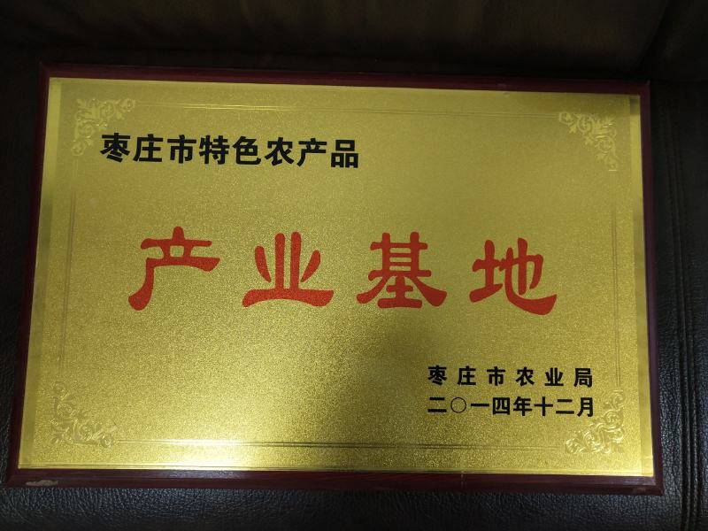 【热卖】食用菌平菇菌棒山东枣庄高产抗病到家划口既出