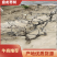 沾化区盘龙枣树基地现货，批量发货，产地直发、货源充足