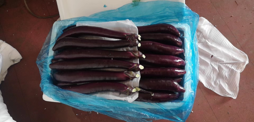 茄子切段准备图