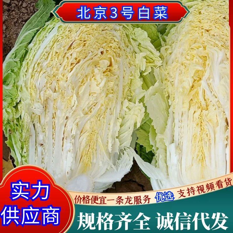 北京3号白菜各种包装山东肥城加工各种规格包装欢迎联系