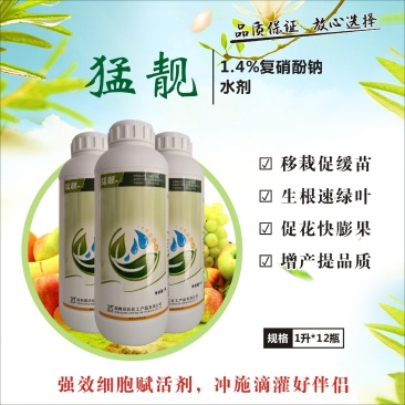 复硝酚钠果树蔬菜促生根壮苗发芽分化保花保果