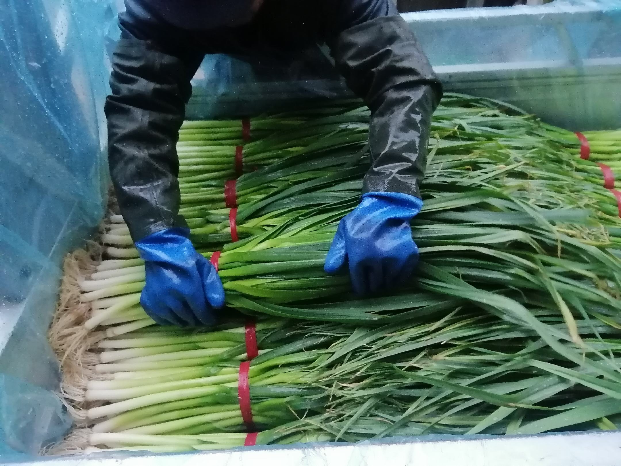 除草剂使用安全防护示意图