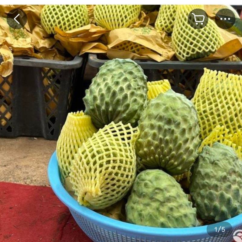 释迦果大量上市