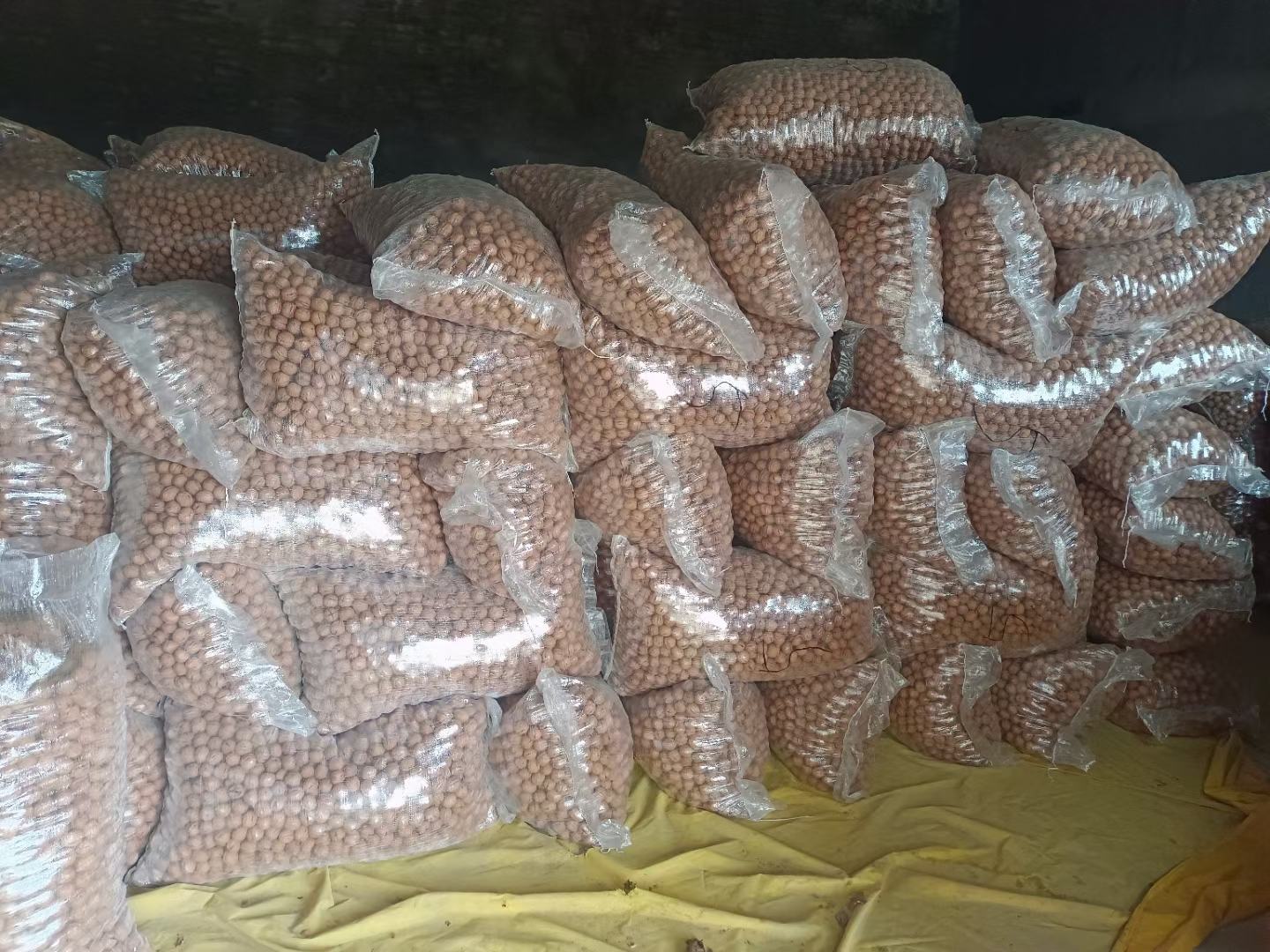 薄皮核桃产品包装示例