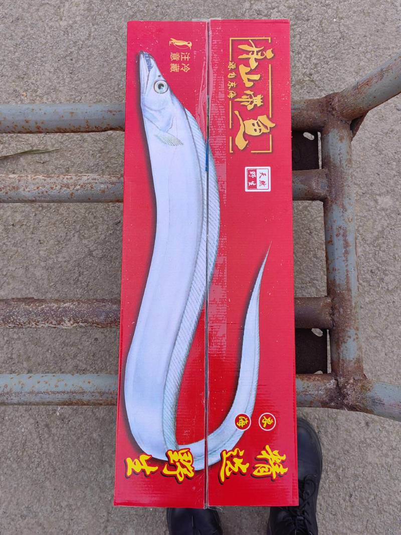 舟山带鱼天窗礼盒各种规格型号都有，量大从优，舟山带鱼