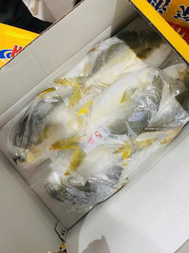 深海金鲳鱼4条，5条装各种规格型号都有现货