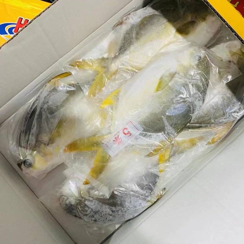 深海金鲳鱼4条，5条装各种规格型号都有现货