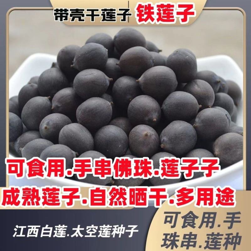 江西产地铁莲子带壳干莲子颗粒饱满品质好