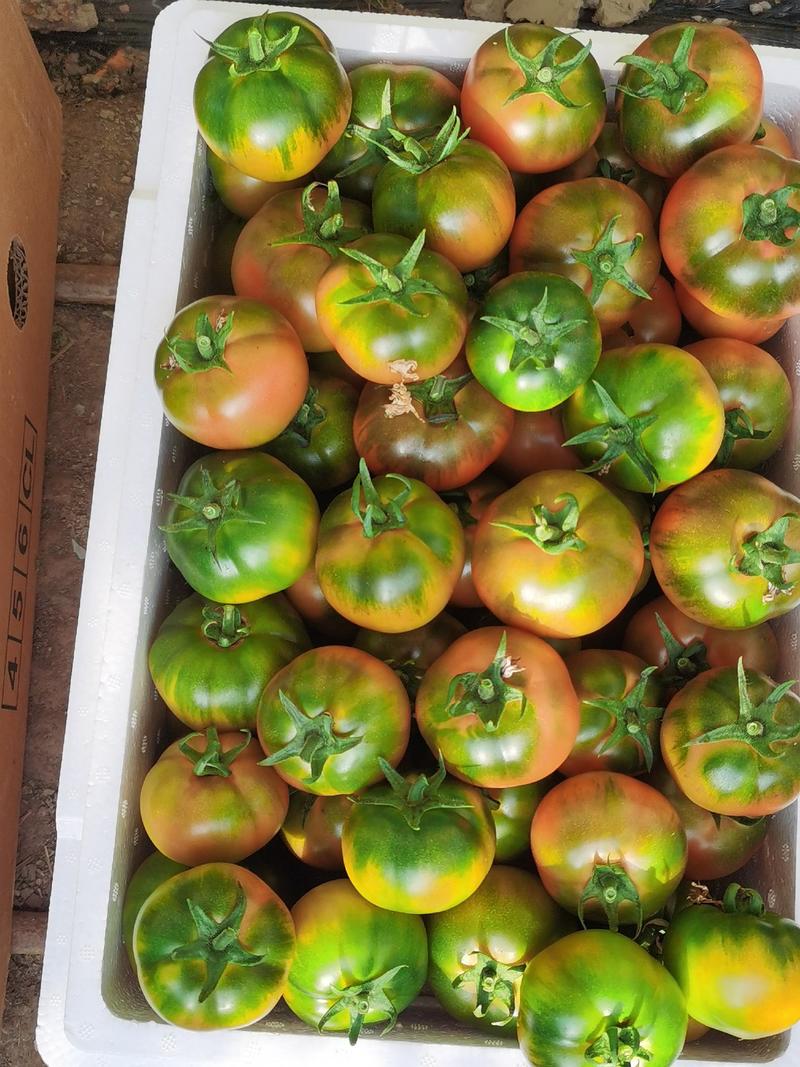 盘锦市特产碱地柿子，草莓柿子，铁皮柿子，口感甜脆，品质好