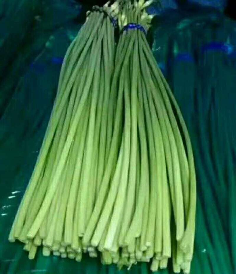 蒜薹山东冷库蒜薹白帽红帽冷库储存，产地一手货源