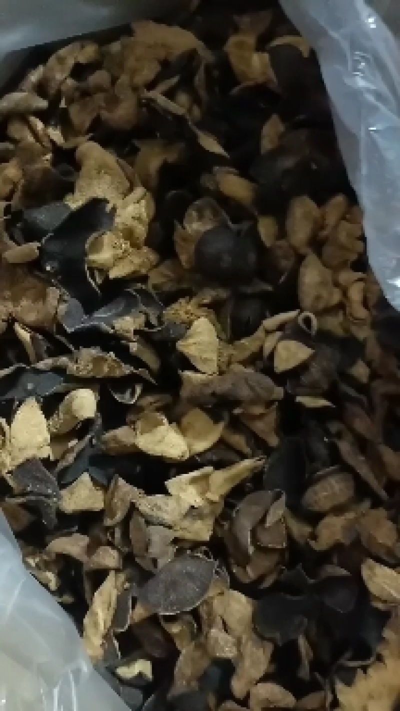 老陈皮，碎皮