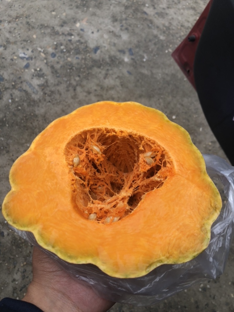 食堂南瓜工厂南瓜食品厂南瓜金韩蜜本南瓜全黄老南瓜养殖南瓜