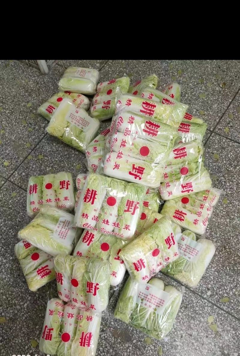 精品娃娃菜，
