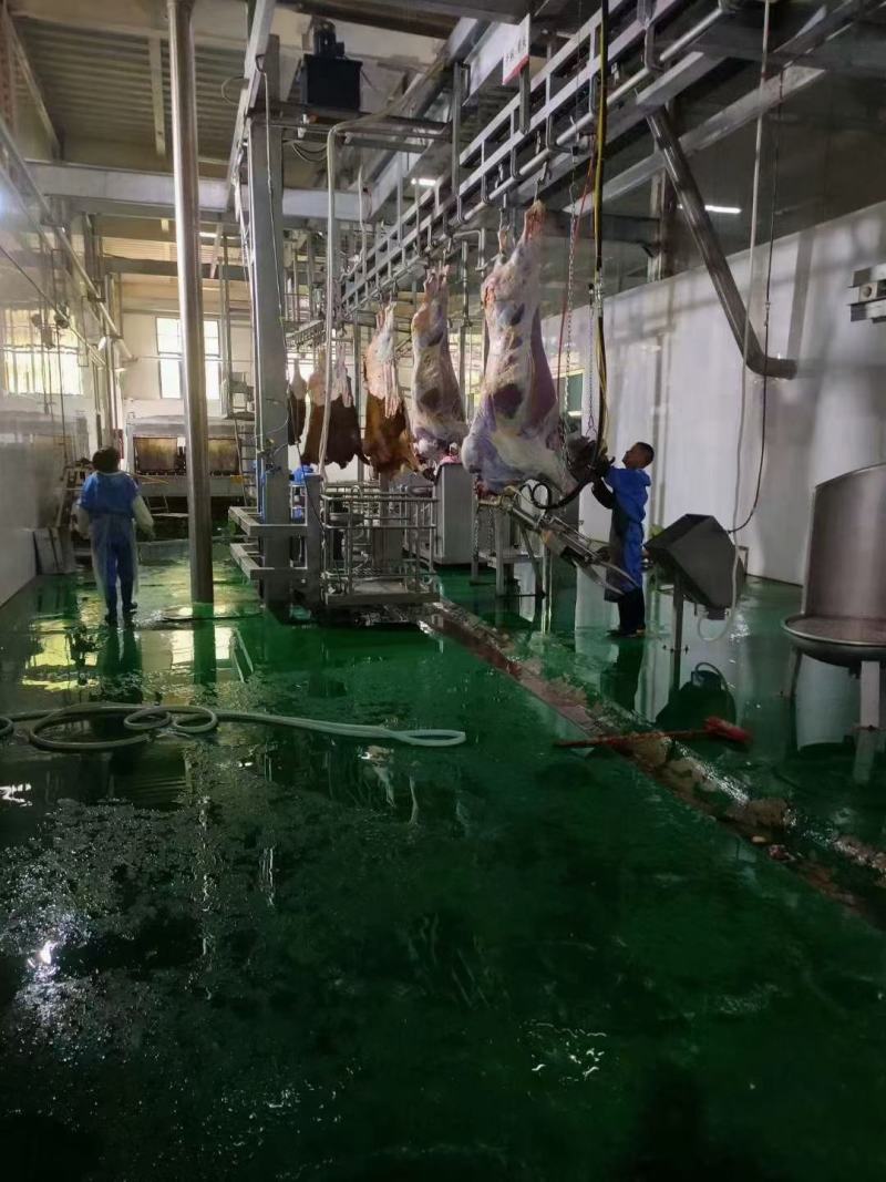 牛肉牛腱子牛腩肉牛林肉牛脖肉牛排骨
