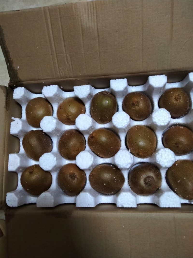 【尝个鲜】陕西眉县徐香猕猴桃，绿心奇异果，品质保证
