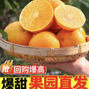 【坏果包赔】四川爱媛38号果冻橙新鲜当季现