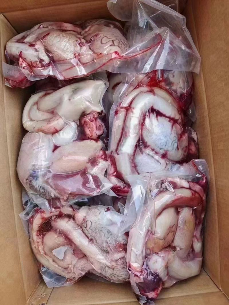 牛肠牛肚牛百叶牛心牛肺牛肝牛罗肌肉