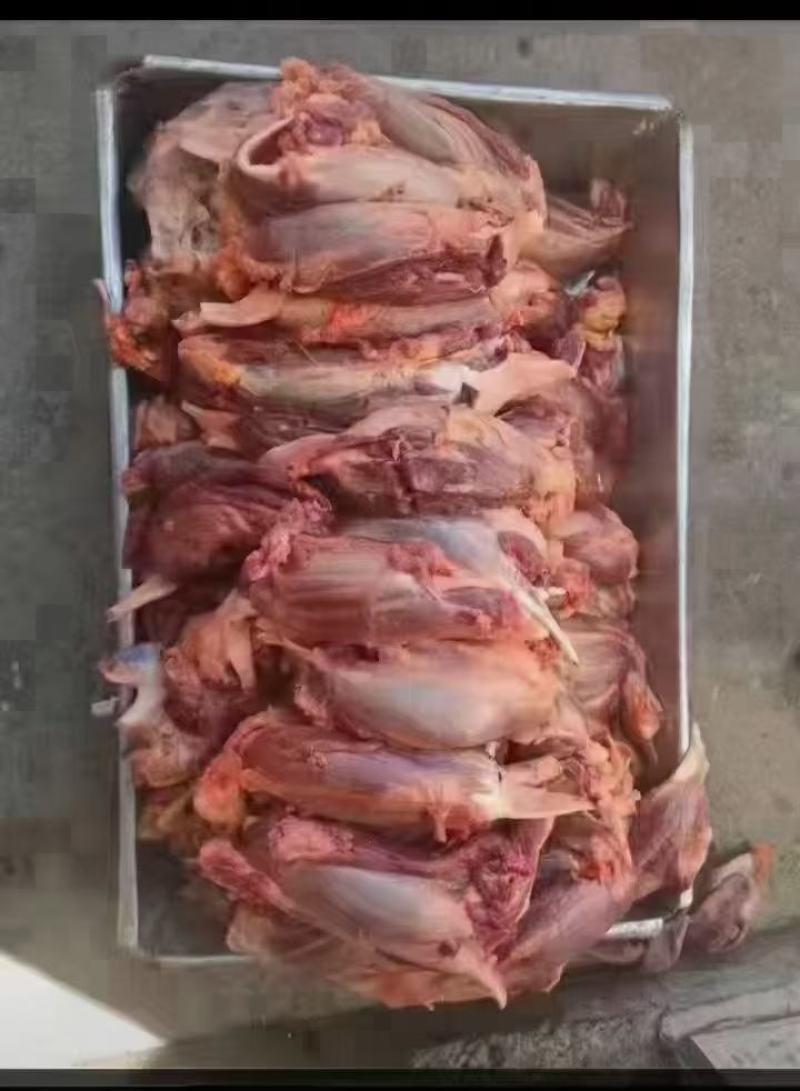 牛碎肉牛罗肌肉牛头宴牛头腩牛筋头巴脑牛筋皮