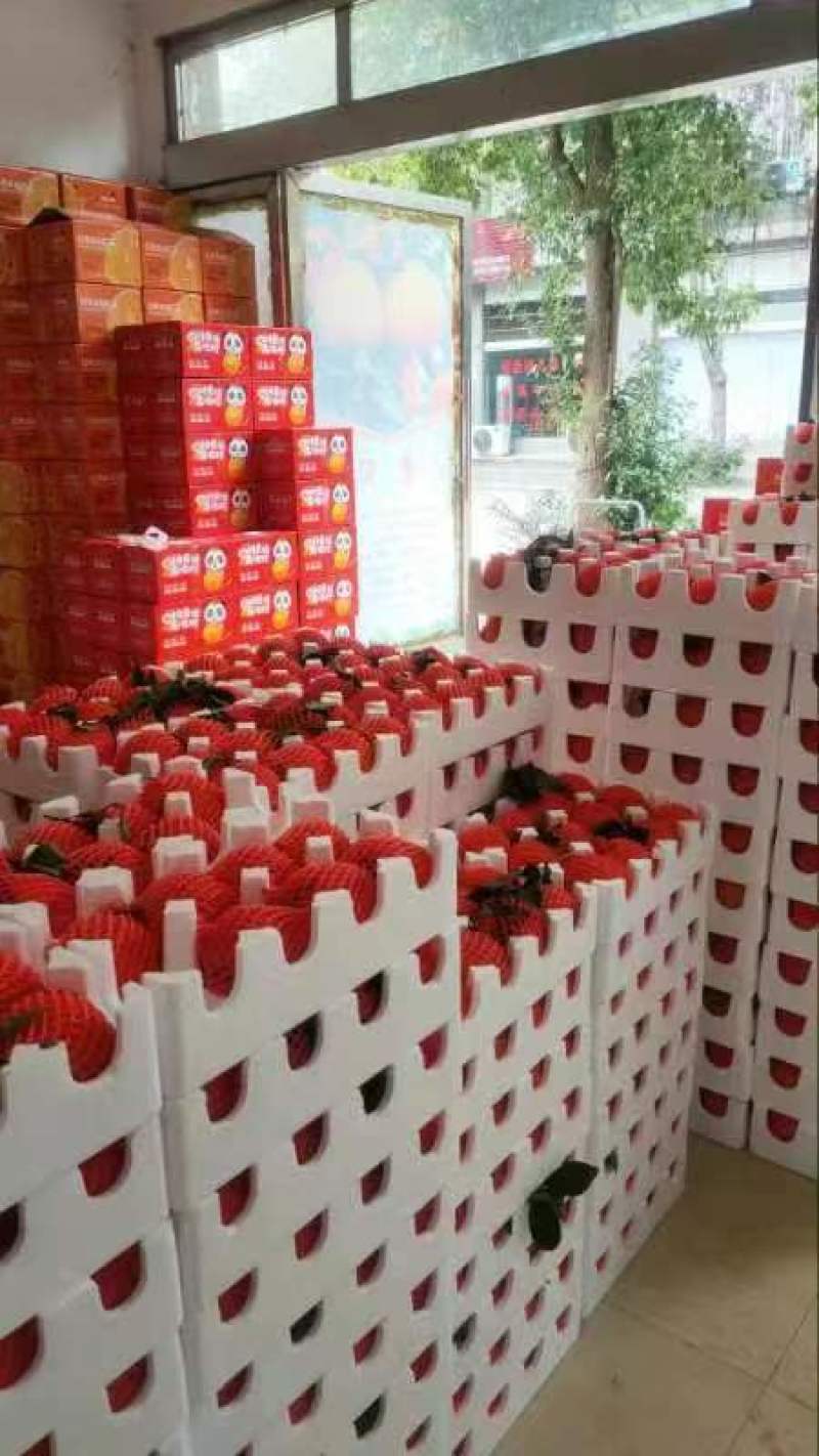 爱媛橙，四川爱媛38号果冻橙，诚信经营，品质保证欢迎来电