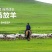 羊肉,新疆巴音布鲁克黑头羊,人工放养自然生长