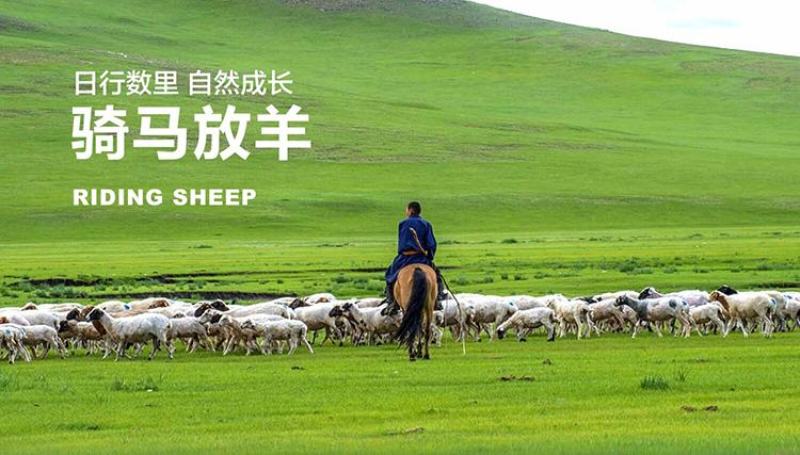 羊肉，新疆巴音布鲁克黑头羊，人工放养自然生长