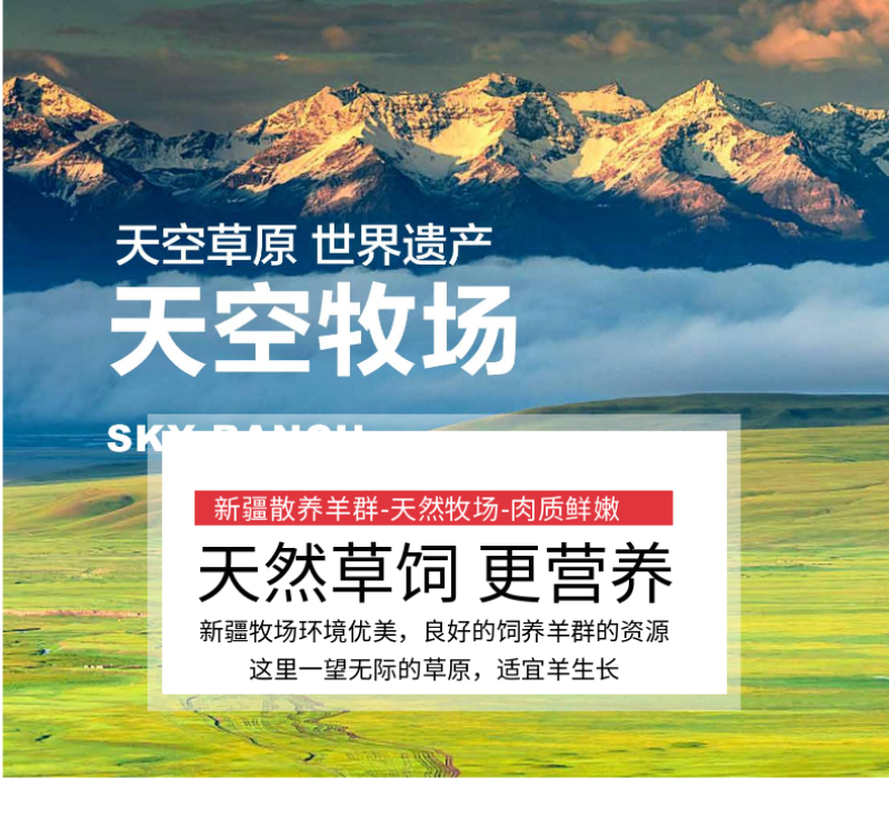 羊肉，新疆巴音布鲁克黑头羊，人工放养自然生长