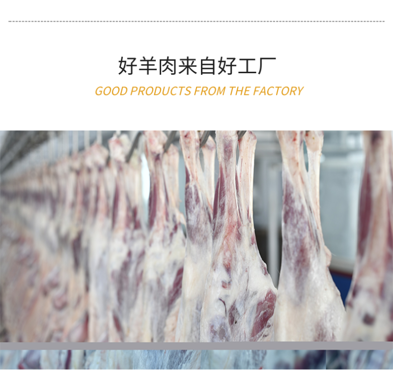 羊肉，新疆巴音布鲁克黑头羊，人工放养自然生长