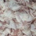 山东厂家肉鸡尾14吨
