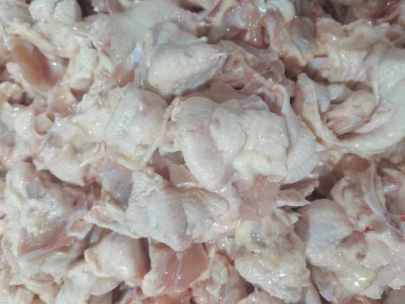 山东厂家肉鸡尾14吨
