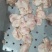 山东厂家肉鸡尾14吨