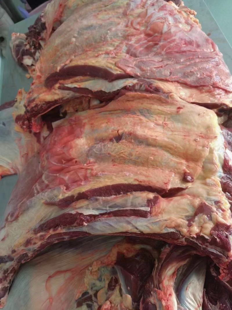 牛尾牛蹄牛罗肌肉牛脖骨牛脊骨牛胸骨