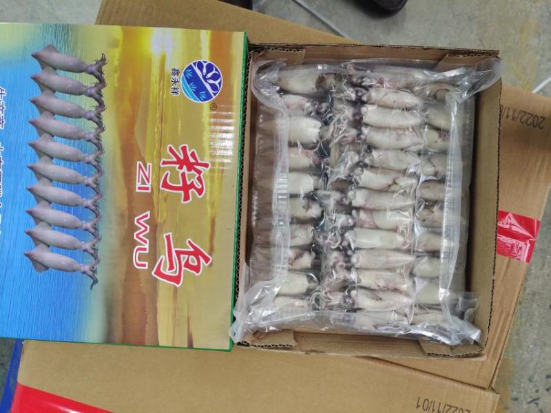 笔管鱼籽乌海兔