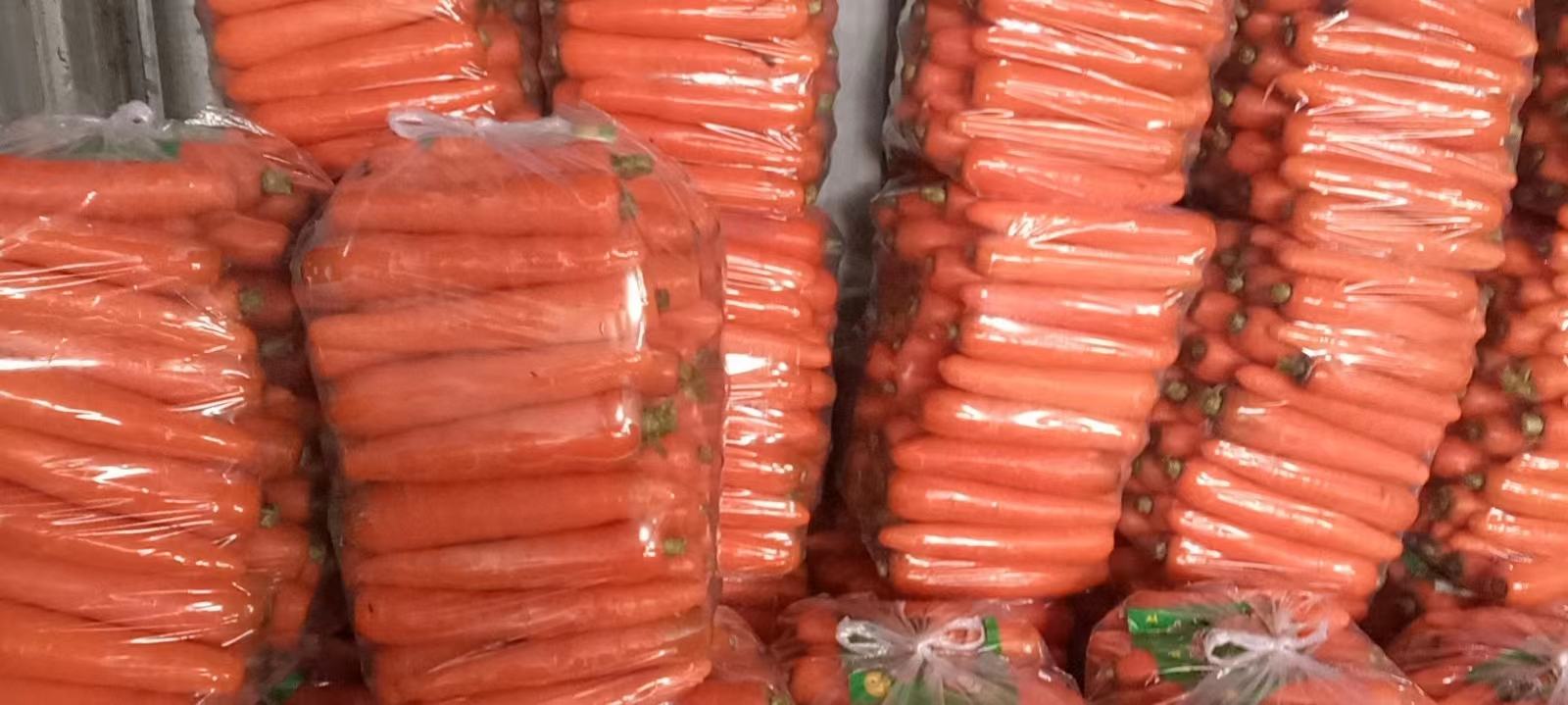 产品级静物摄影:纯白背景上并列陈列三款三红胡萝卜深加工商品。左:200ml透明玻璃瓶装冷榨汁,液体清澈透亮,折射出宝石红光泽;中:铝箔真空袋装蒸制胡萝卜段,表面微泛植物油润泽,呈现熟制后的深珊瑚红;右:圆柱形马口铁罐装有机胡萝卜红色米粉,罐身烫金logo旁印有高清三红横切放大图,强调‘皮肉芯同红’核心卖点 三红胡萝卜深加工产品矩阵:玻璃瓶装冷压胡萝卜红色果蔬汁(液体呈清亮石榴红)、真空包装蒸熟段(表面泛油润红光)、有机胡萝卜红色米粉罐(罐身印有C位放大的三红切面图)