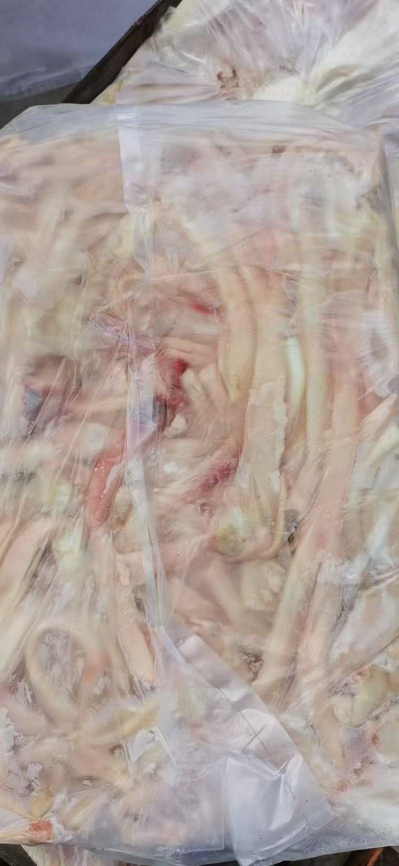 牛头。牛头宴牛蹄牛脖骨牛棒骨牛脊骨牛骨髓牛筋