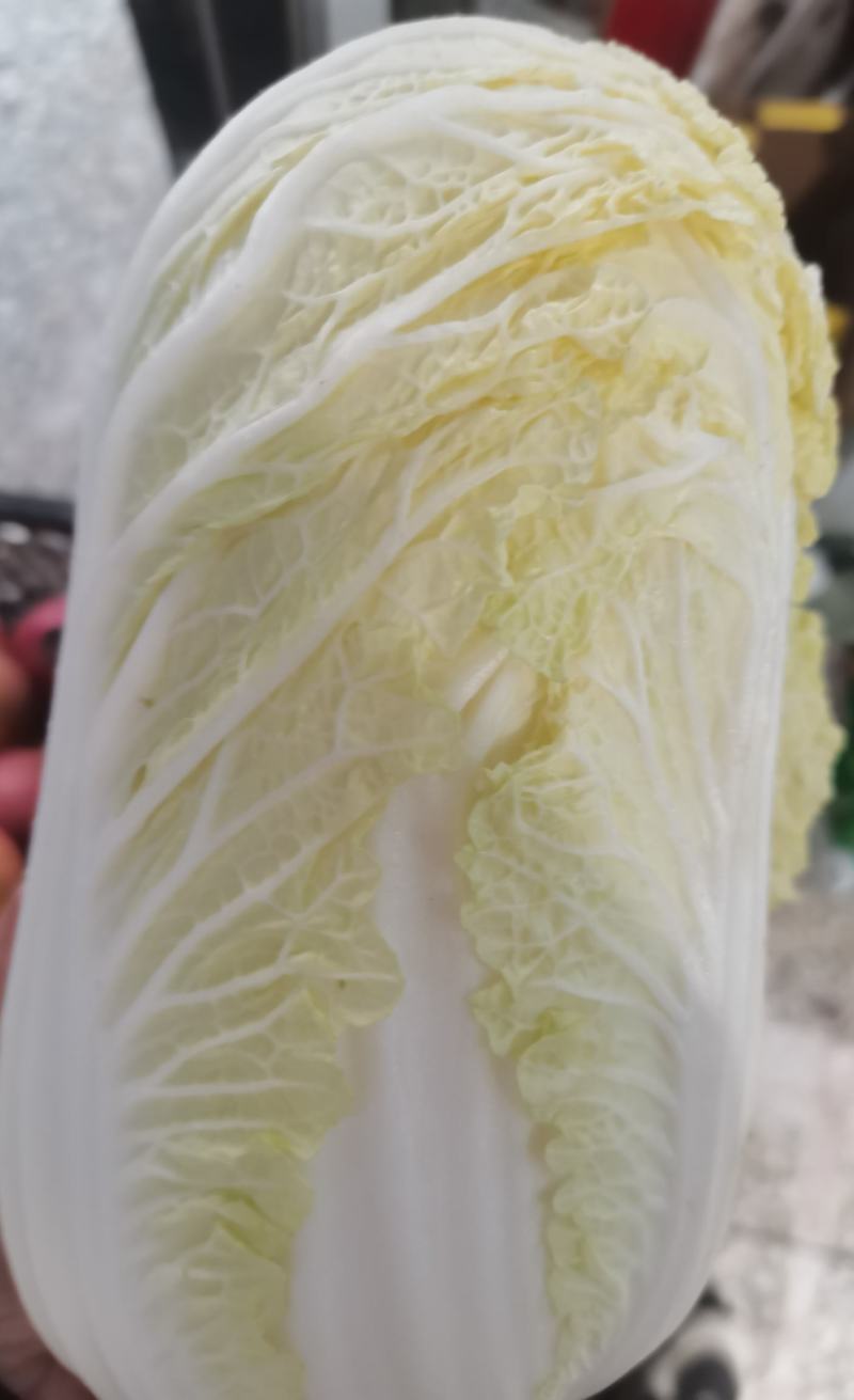 娃娃菜，大娃娃菜，小娃娃菜
